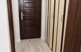 Garsonieră mobilată/utilată, 31 mp, zona Brazda lui Novac