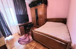 Casa deosebită, 198 mp utili, 449 mp teren, zona Severinului