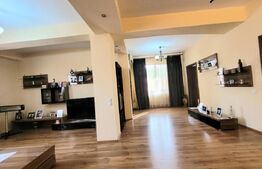 Casa deosebită, 198 mp utili, 449 mp teren, zona Severinului