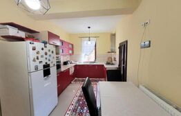 Casa deosebită, 198 mp utili, 449 mp teren, zona Severinului