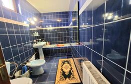 Casa deosebită, 198 mp utili, 449 mp teren, zona Severinului