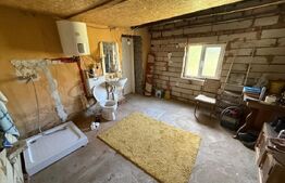 Casa partial renovata, 60 mp, 6000 mp teren, zona Georocu Mare