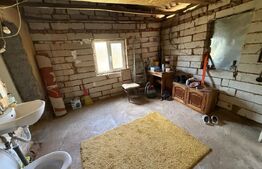 Casa partial renovata, 60 mp, 6000 mp teren, zona Georocu Mare