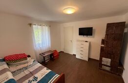 Casa partial renovata, 60 mp, 6000 mp teren, zona Georocu Mare