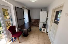 Casa partial renovata, 60 mp, 6000 mp teren, zona Georocu Mare