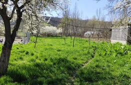Casă renovată complet, 1800 mp teren, zonă liniștită în Cornița