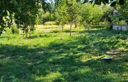 Casă renovată complet, 1800 mp teren, zonă liniștită în Cornița