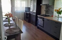 Casă renovată complet, 1800 mp teren, zonă liniștită în Cornița