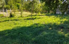 Casă renovată complet, 1800 mp teren, zonă liniștită în Cornița