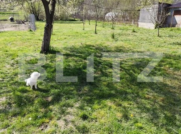 Casa de vânzare 2 camere Sud - 195401CV | BLITZ Craiova | Poza11