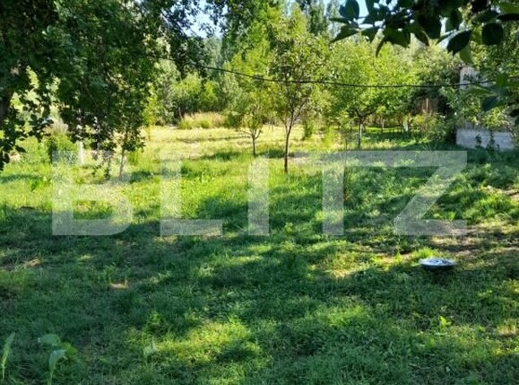 Casa de vânzare 2 camere Cornita - 195401CV | BLITZ Craiova | Poza13