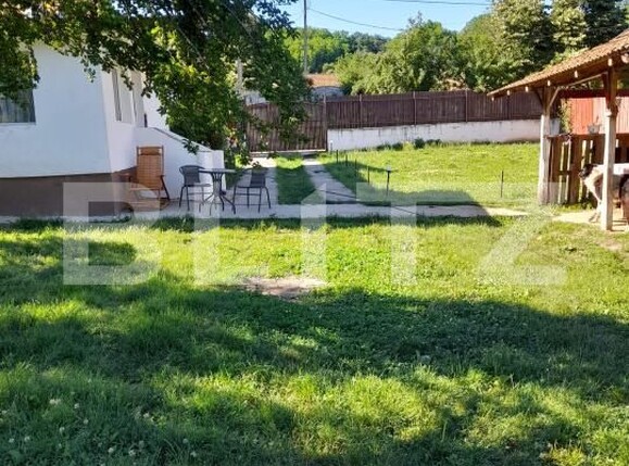 Casa de vânzare 2 camere Cornita - 195401CV | BLITZ Craiova | Poza14