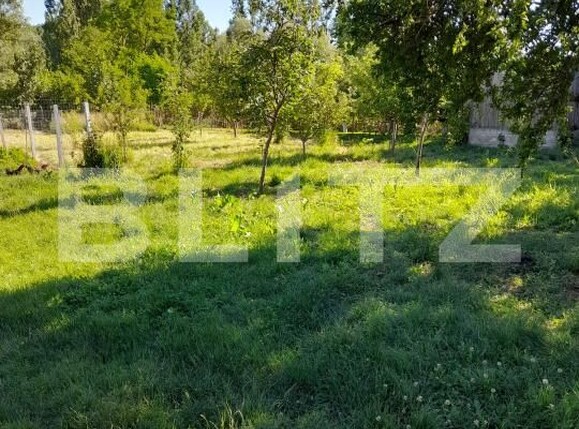 Casa de vânzare 2 camere Cornita - 195401CV | BLITZ Craiova | Poza15