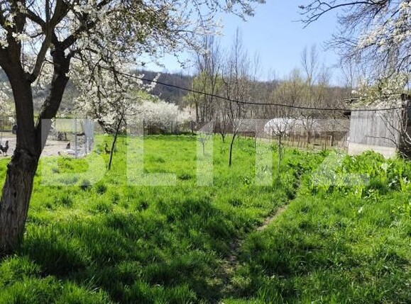 Casa de vânzare 2 camere Cornita - 195401CV | BLITZ Craiova | Poza9