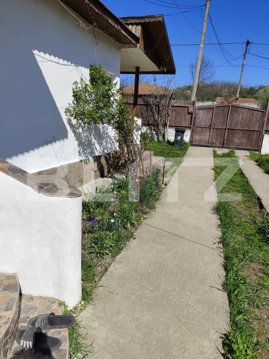 Casa de vânzare 2 camere Cornita - 195401CV | BLITZ Craiova | Poza8