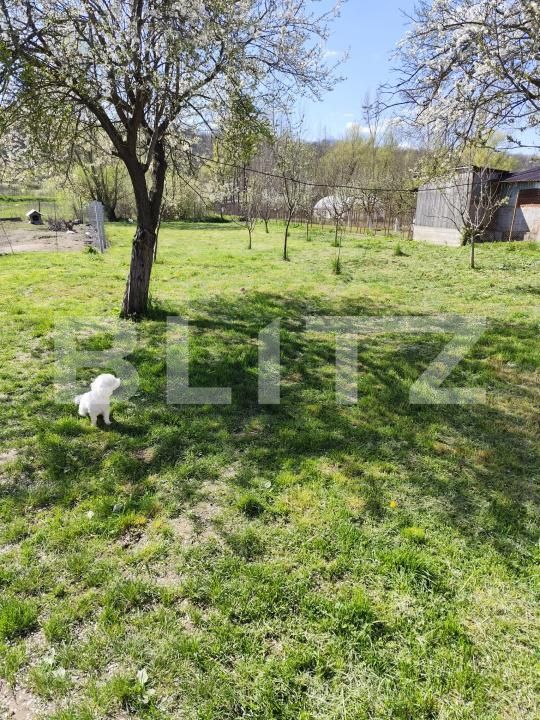 Casa de vânzare 2 camere Sud - 195401CV | BLITZ Craiova | Poza11