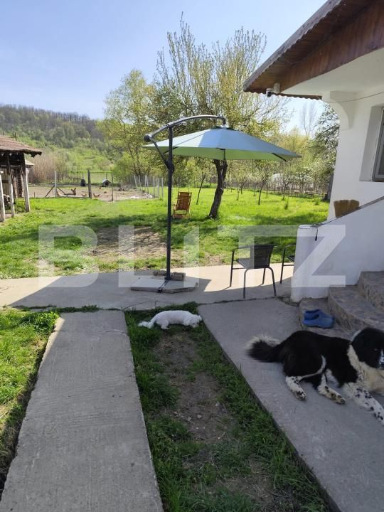 Casa de vânzare 2 camere Cornita - 195401CV | BLITZ Craiova | Poza10