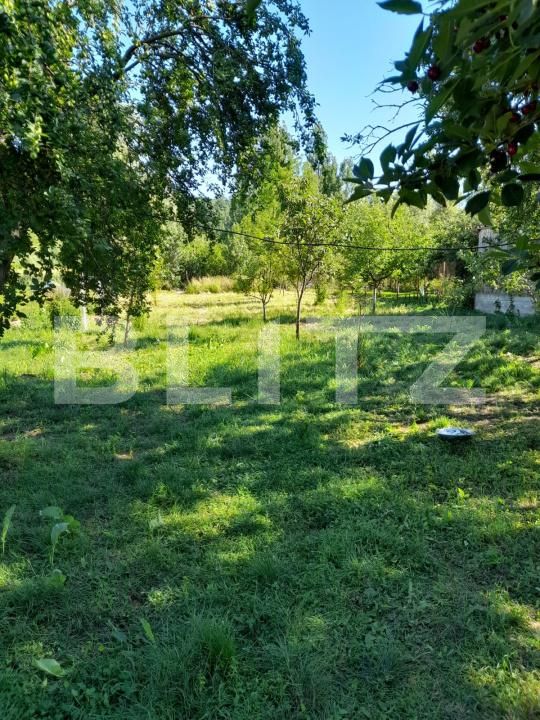 Casa de vânzare 2 camere Cornita - 195401CV | BLITZ Craiova | Poza13