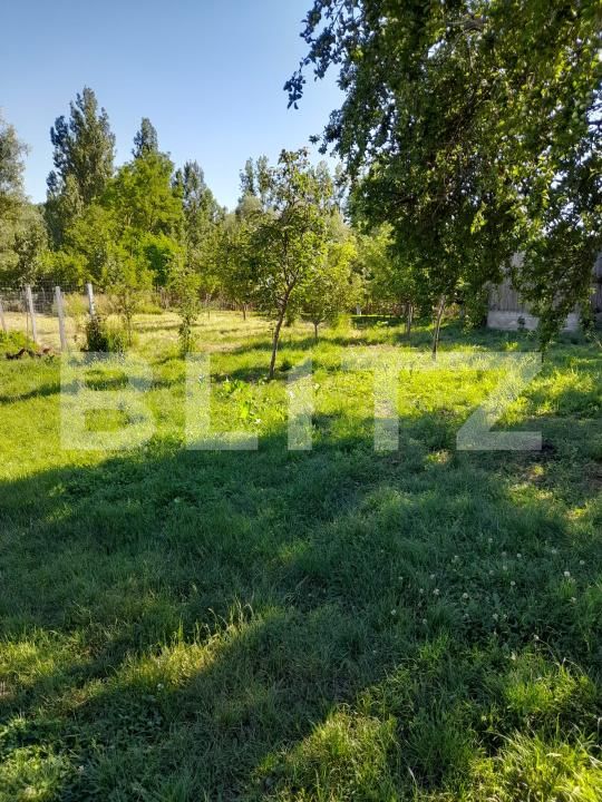 Casa de vânzare 2 camere Cornita - 195401CV | BLITZ Craiova | Poza15