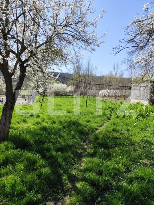 Casa de vânzare 2 camere Cornita - 195401CV | BLITZ Craiova | Poza9