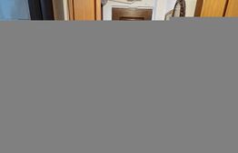 Apartament 3 camere semidecomandat, 49.70 mp, etaj 3, zona Craiovita Noua