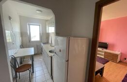 Apartament cu 2 camere, 36.63 mp,pretabil regim hotelier, zona Craiovita - Niela