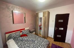 Apartament cu 2 camere, 36.63 mp,pretabil regim hotelier, zona Craiovita - Niela
