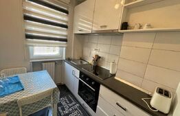 Apartament 2 camere, 39 mp, zona Teatru