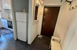 Apartament 2 camere, 39 mp, zona Teatru