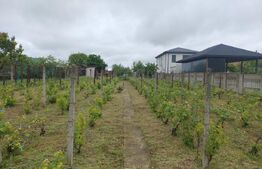 Teren utilități, 1.236 mp, 16.6 m deschidere, zona Cârcea