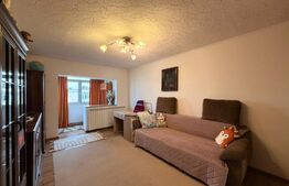 Apartament 2 camere decomandat, 49.03 mp, bloc monolit, zona Craiovita - Materna