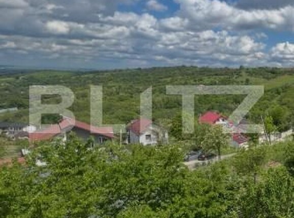 Casa de vânzare 4 camere Bucovat - 195515CV | BLITZ Craiova | Poza10