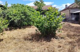 Proprietate 70 mp, 2023 mp teren, comuna Leu 