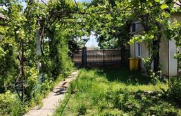 PROPRIETATE MARE ÎN COMUNA LEU, DOLJ, 2023MP TEREN
