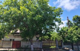 PROPRIETATE MARE ÎN COMUNA LEU, DOLJ, 2023MP TEREN