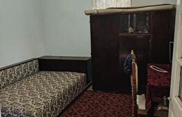 PROPRIETATE MARE ÎN COMUNA LEU, DOLJ, 2023MP TEREN