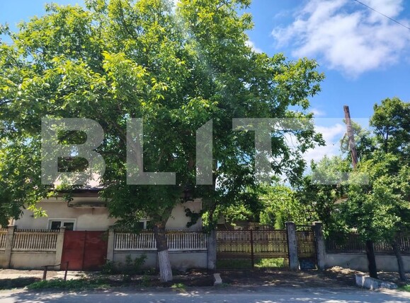 Casa de vânzare 5 camere Leu - 195526CV | BLITZ Craiova | Poza1