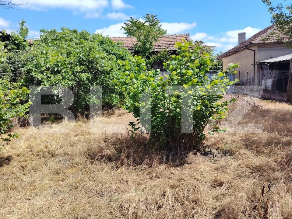 Casa de vânzare 5 camere Leu - 195526CV | BLITZ Craiova | Poza8