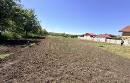 Casa de renovat 127 mp +3000 mp Teren Intrav/Simnic, la 12km de Craiova