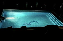 Vilă cu piscină, saună, tenis și sală sport nouă, 200 mp, zona Balta Verde 