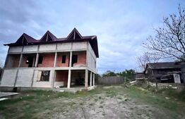 Doua case, spatiu comercial, casa tip pensiune Goicea Dolj 