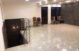 Doua case, spatiu comercial, casa tip pensiune Goicea Dolj 