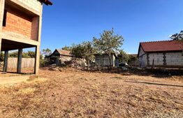 Doua case, spatiu comercial, casa tip pensiune Goicea Dolj 