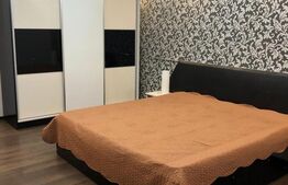 Doua case, spatiu comercial, casa tip pensiune Goicea Dolj 