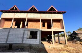 Doua case, spatiu comercial, casa tip pensiune Goicea Dolj 