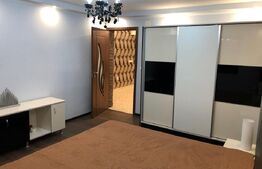 Doua case, spatiu comercial, casa tip pensiune Goicea Dolj 