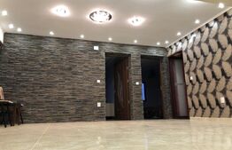 Doua case, spatiu comercial, casa tip pensiune Goicea Dolj 