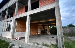 Doua case, spatiu comercial, casa tip pensiune Goicea Dolj 