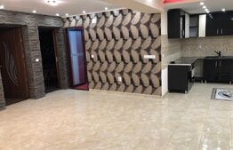 Doua case, spatiu comercial, casa tip pensiune Goicea Dolj 