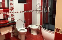 Doua case, spatiu comercial, casa tip pensiune Goicea Dolj 